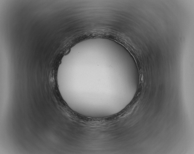 X0000111460771200907131217