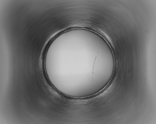 X0000111460779200907131217