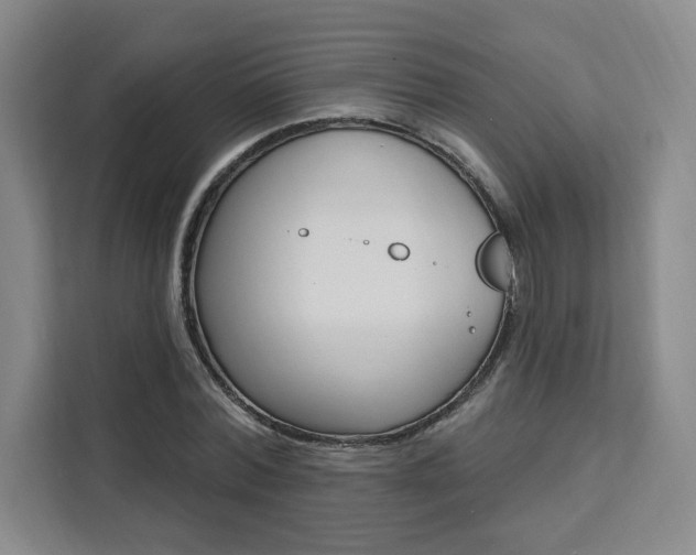 X0000111460780200907131217
