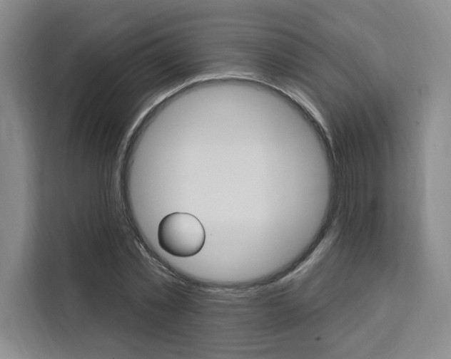 X0000111460781200907131217