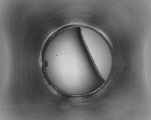 X0000111460791200907131217