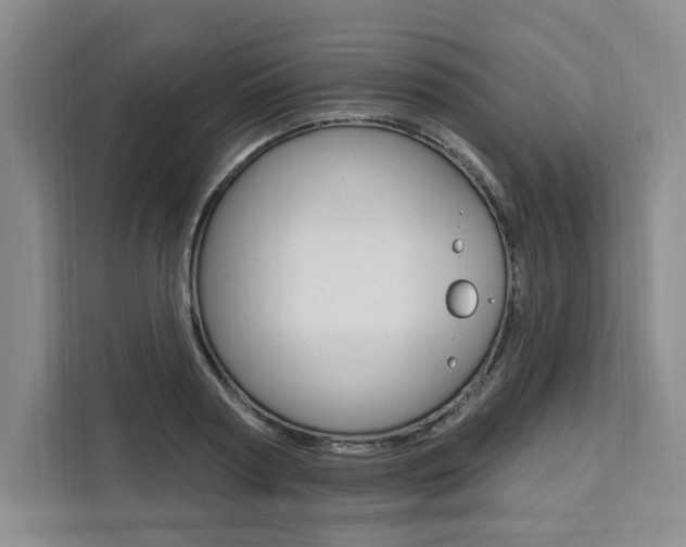 X0000111460794200907131217