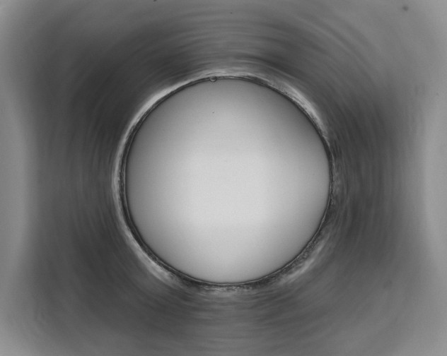 X0000111460803200907131217