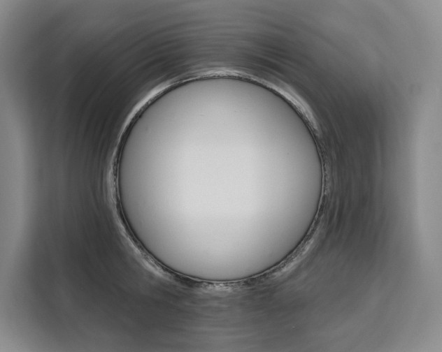 X0000111460806200907131217