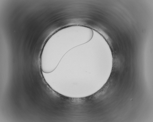 X0000111460807200907131217