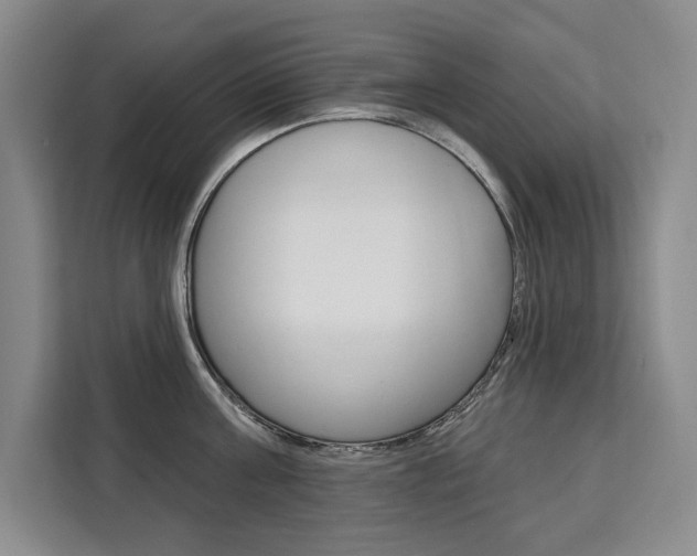 X0000111460811200907131217