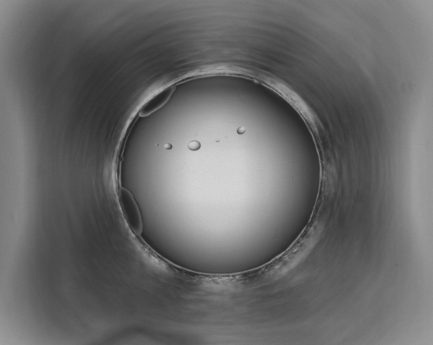 X0000111460813200907131217