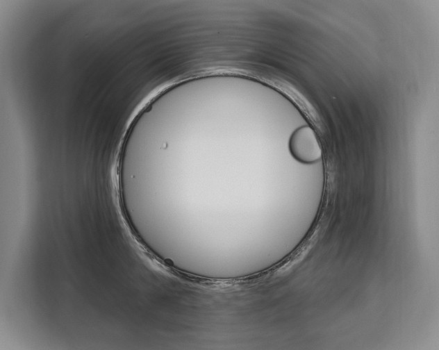 X0000111460814200907131217