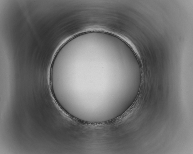 X0000111460815200907131217