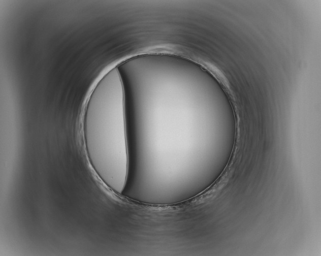 X0000111460816200907131217