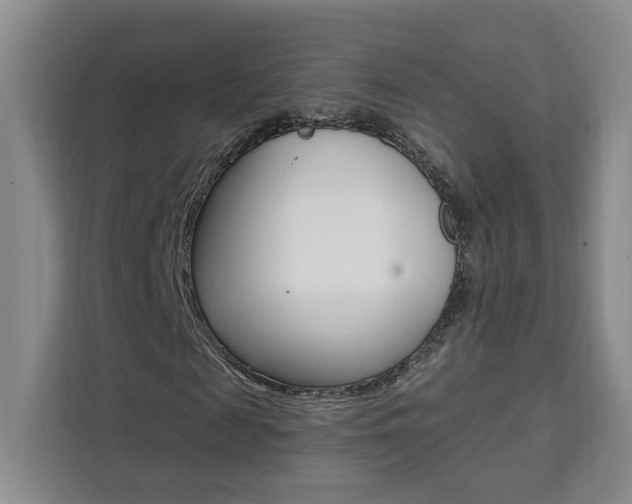 X0000111460817200907131216