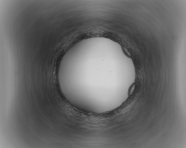 X0000111460818200907131216