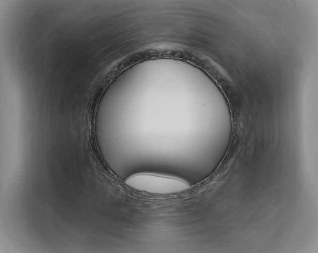 X0000111460821200907131216