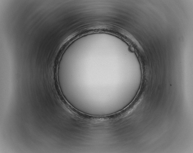 X0000111460826200907131216