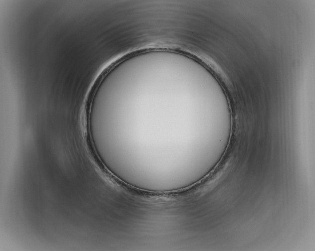 X0000111460838200907131216