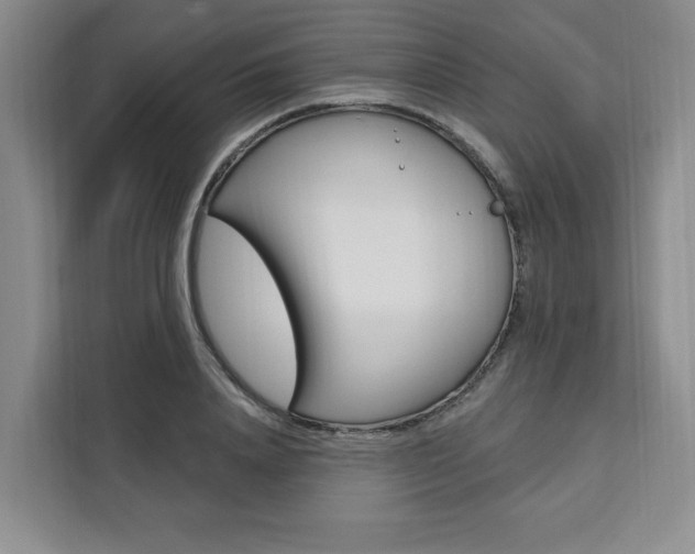 X0000111460840200907131216