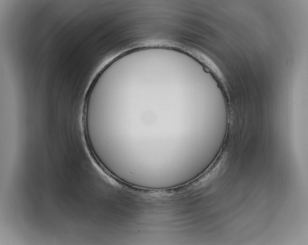 X0000111460847200907131216