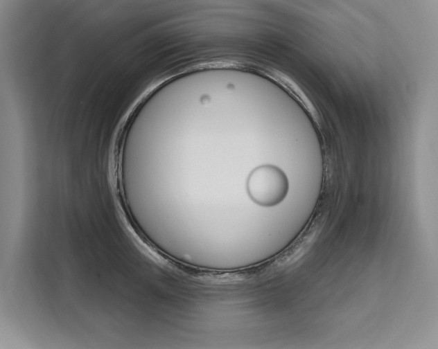 X0000111460851200907131217