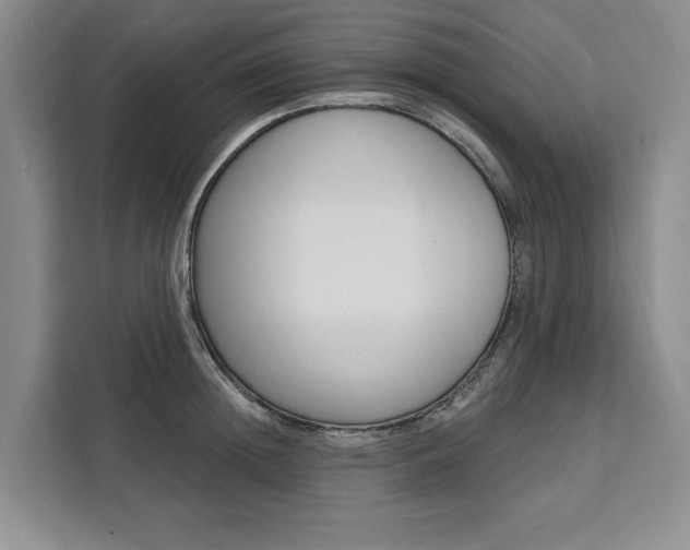 X0000111460852200907131217