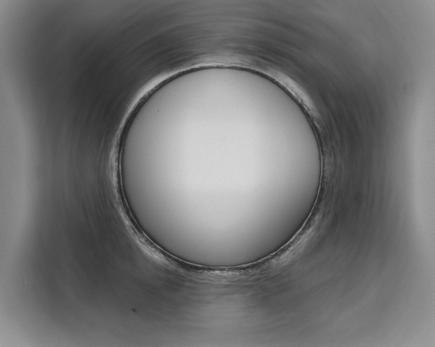 X0000111460854200907131217