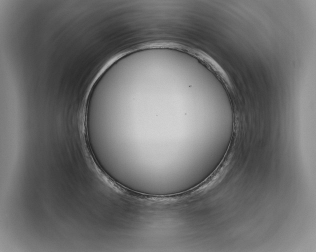 X0000111460860200907131217