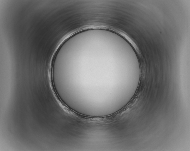 X0000111460861200907131217
