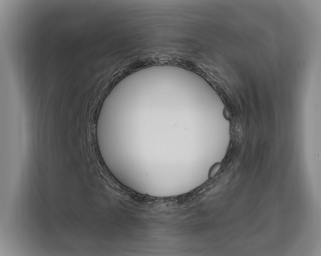 X0000111460865200907131216