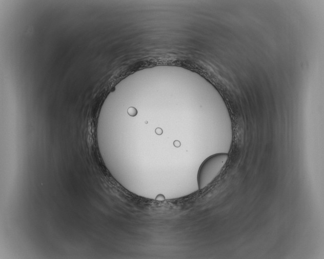 X0000111460866200907131216