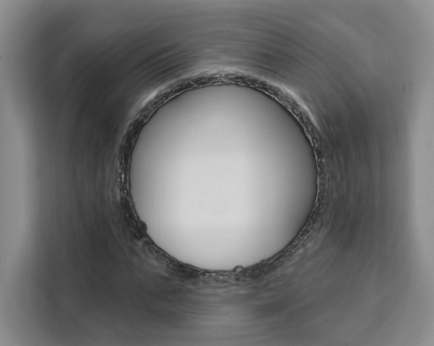 X0000111460871200907131216