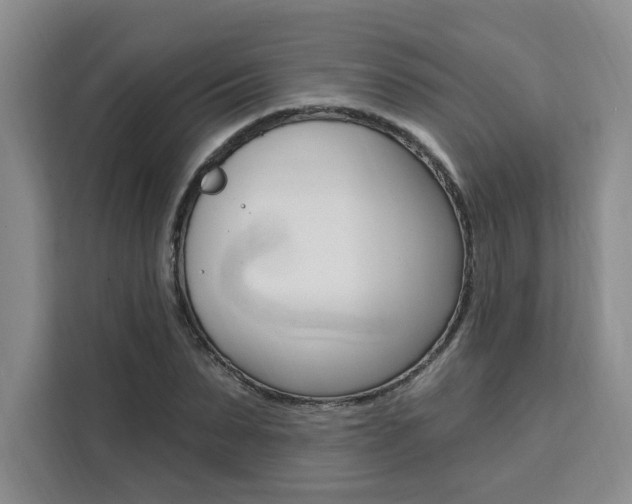 X0000111460879200907131216