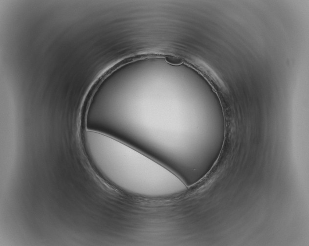 X0000111460884200907131216