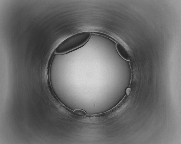 X0000111460885200907131216