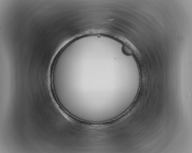X0000111460894200907131216