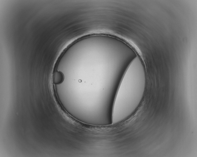 X0000111460895200907131216