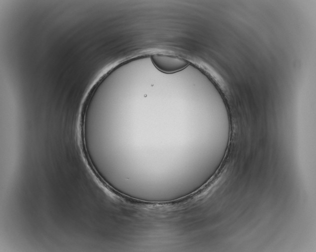 X0000111460902200907131216