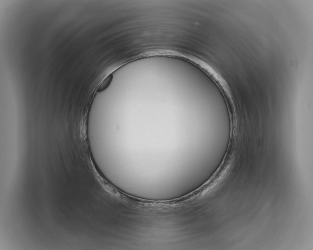 X0000111460905200907131216