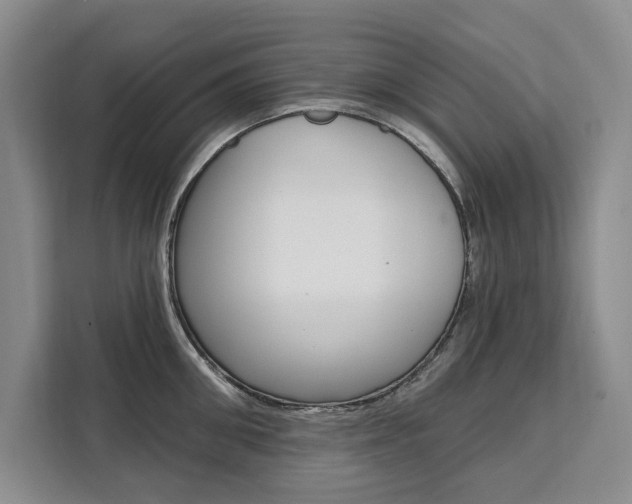 X0000111460906200907131216
