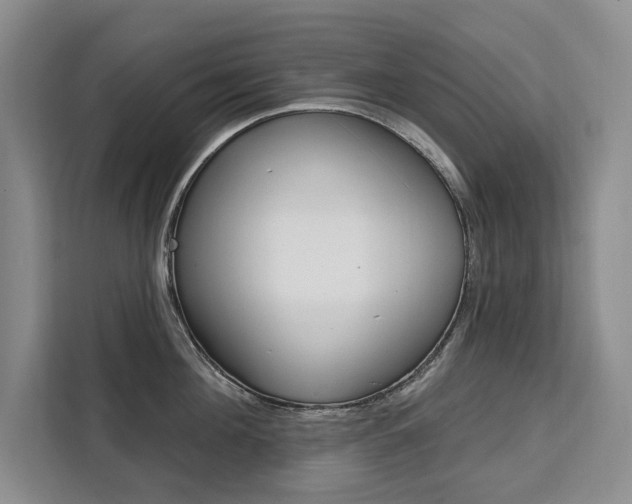 X0000111460908200907131215