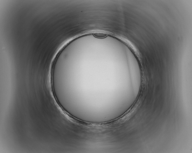 X0000111460910200907131215