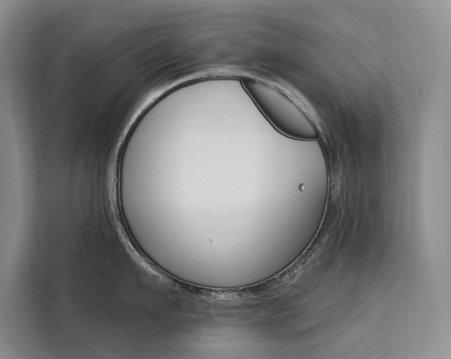 X0000111460911200907131215