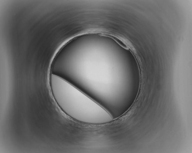 X0000111460912200907131215