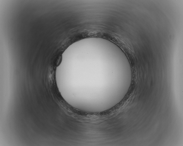 X0000111460914200907131215