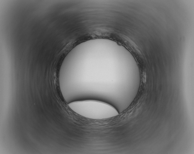 X0000111460915200907131215