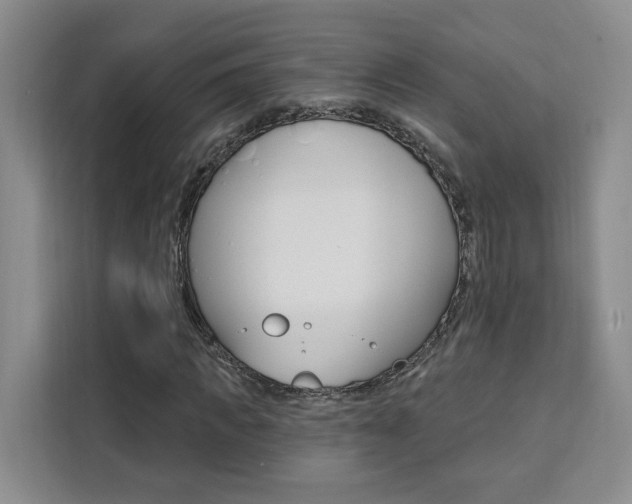 X0000111460917200907131215
