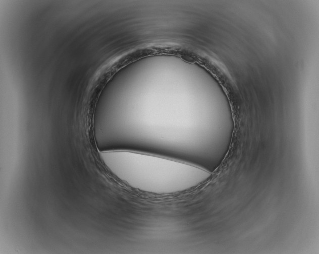 X0000111460920200907131215