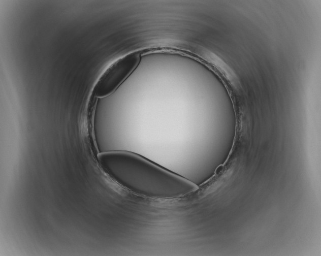 X0000111460924200907131215