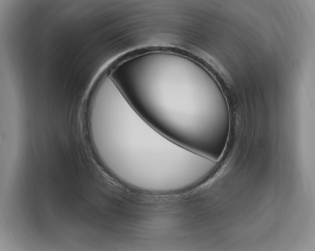X0000111460926200907131215