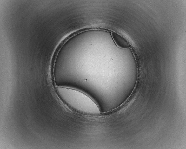 X0000111460932200907131215