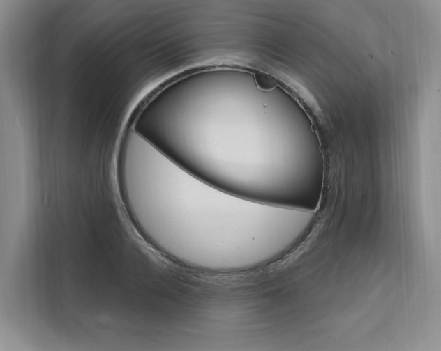 X0000111460936200907131215