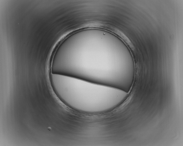 X0000111460939200907131215